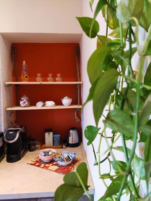 Casa Degli Alberi Lejlighed Fiumicino Eksteriør billede